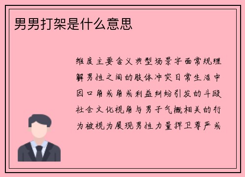 男男打架是什么意思